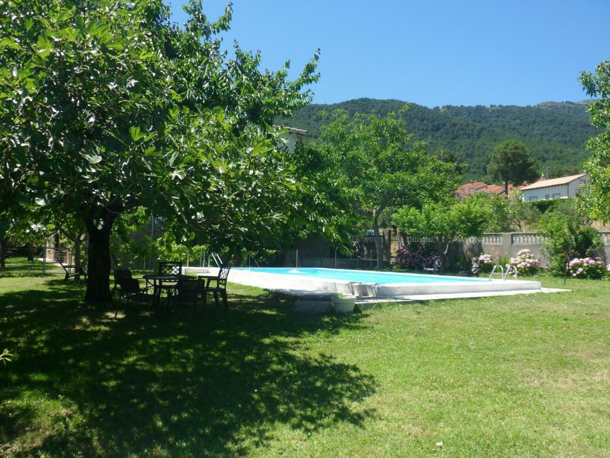 Amatalasvinas